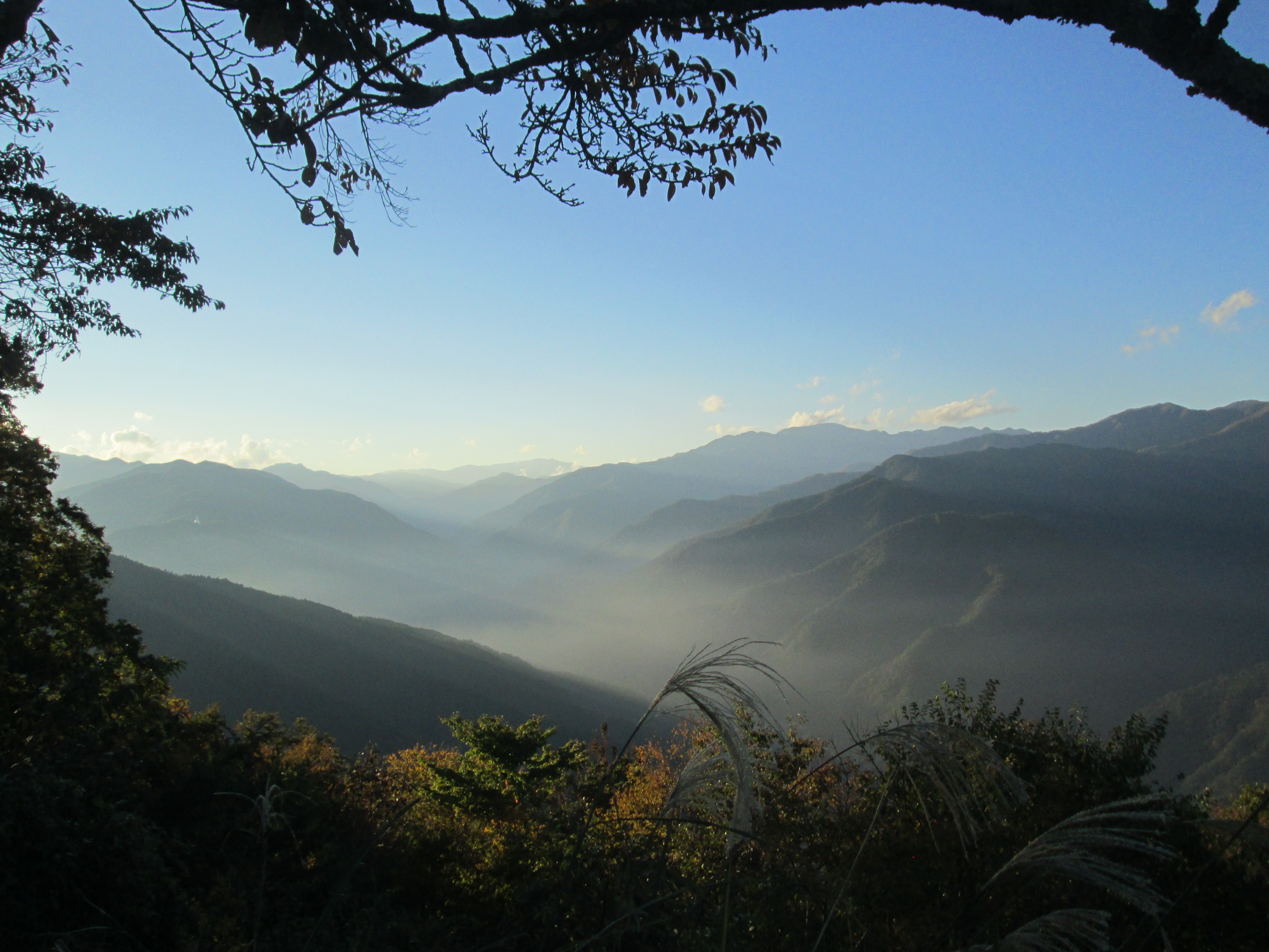 haruokutamayamaaruki210508