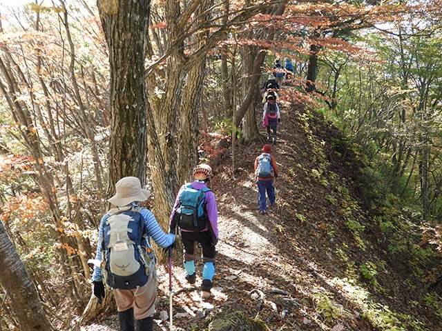 hinoharaokutamayamaaruki211023