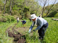 ikimonoikiikitai2022