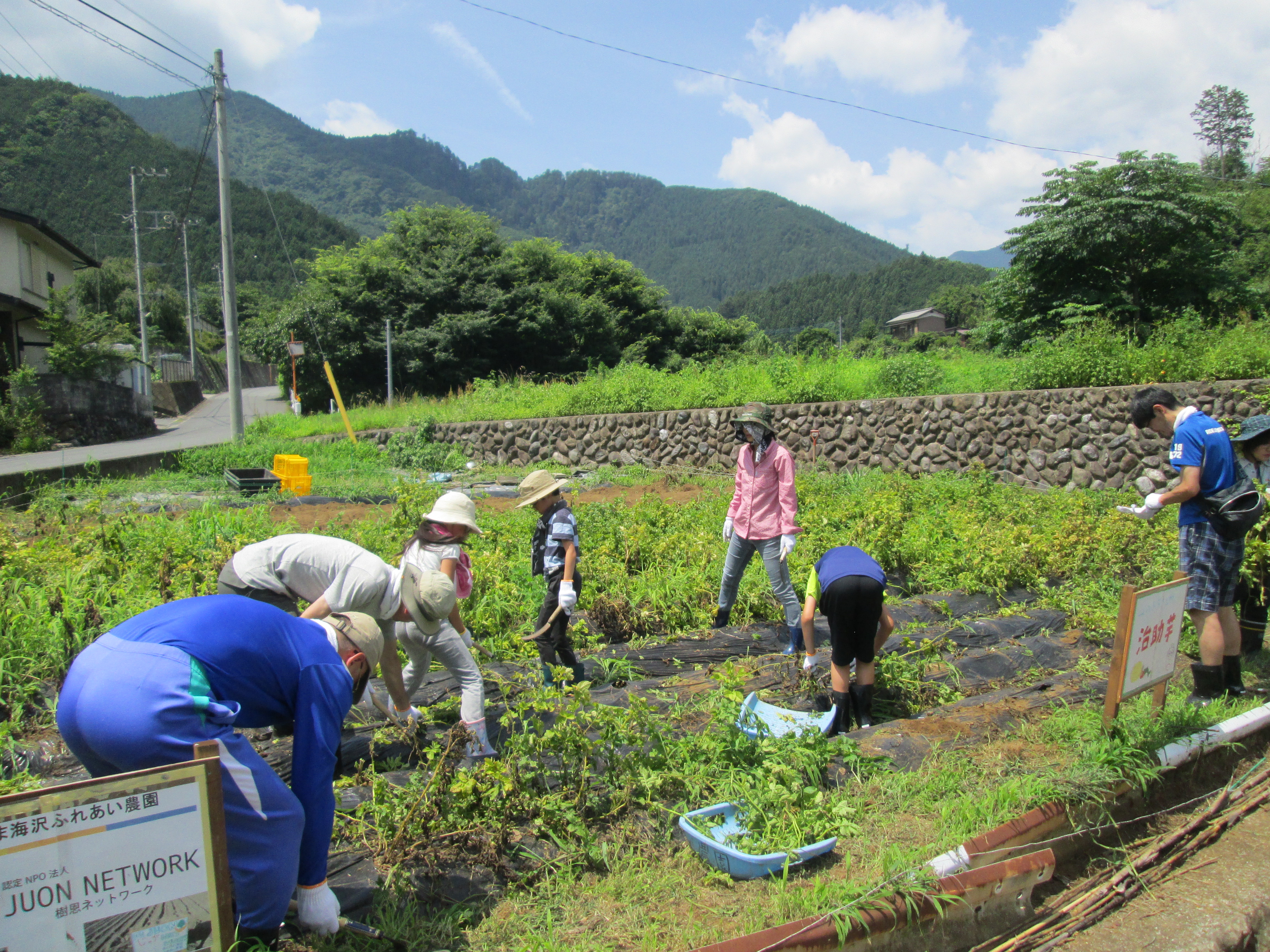 jisukeimonosyuukaku210710