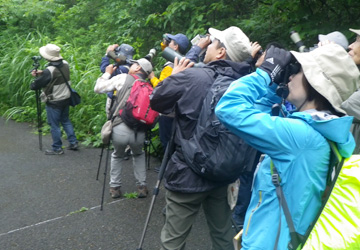 minnadebirdwatching2021