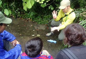 onlinekisetunomoriwoarukou201206